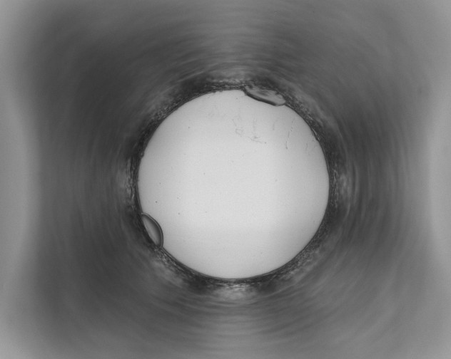 X0000110860609200907091342