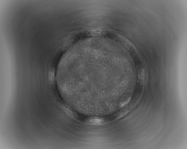 X0000110860610200907091342