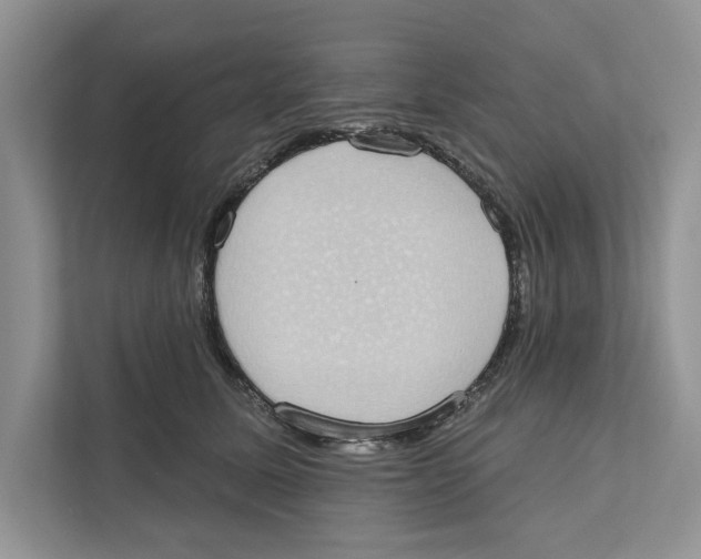 X0000110860611200907091342