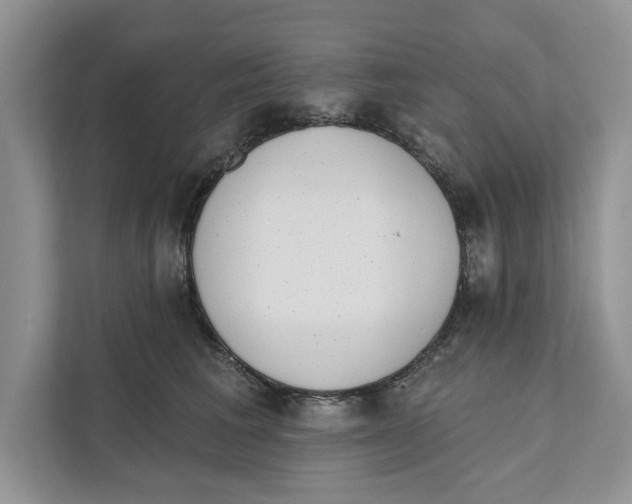 X0000110860613200907091342