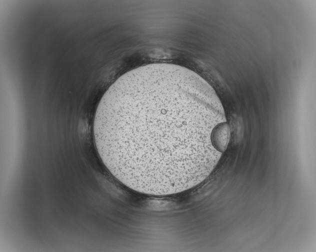 X0000110860614200907091342