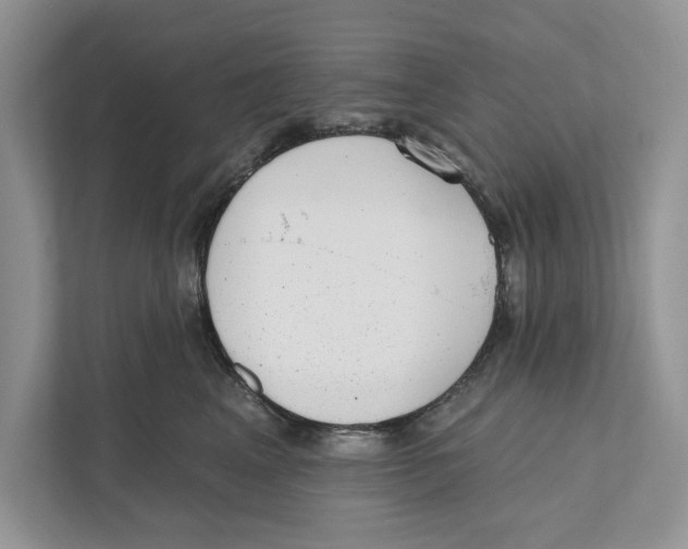 X0000110860617200907091341