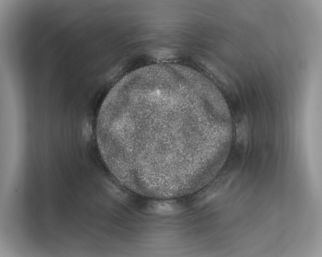 X0000110860618200907091341