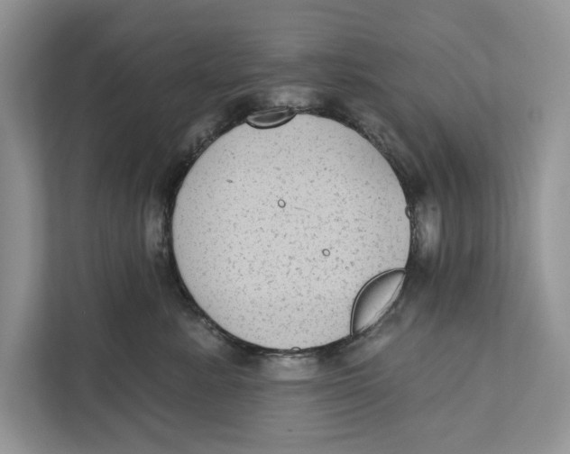 X0000110860619200907091341