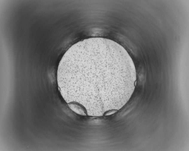 X0000110860620200907091341