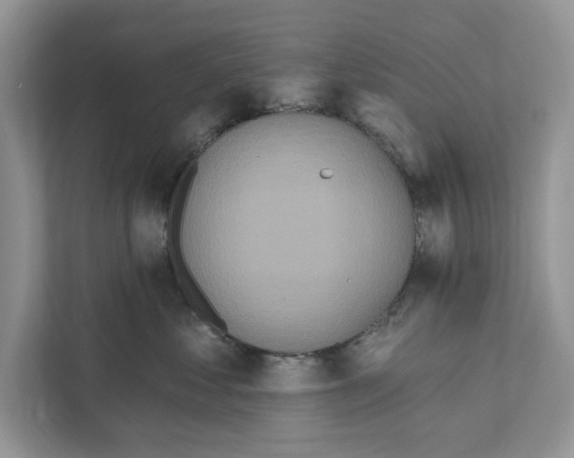 X0000110860621200907091341