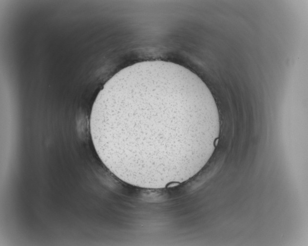 X0000110860624200907091341