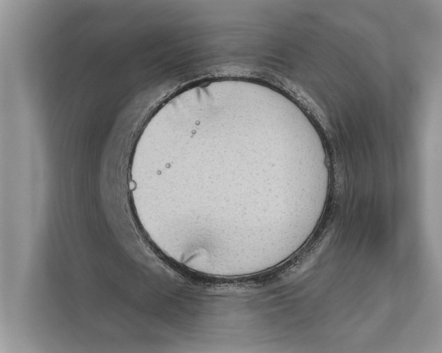 X0000110860625200907091341