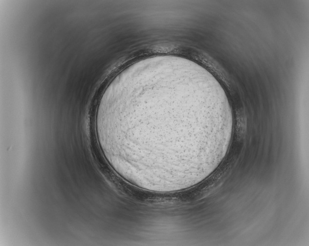 X0000110860626200907091341