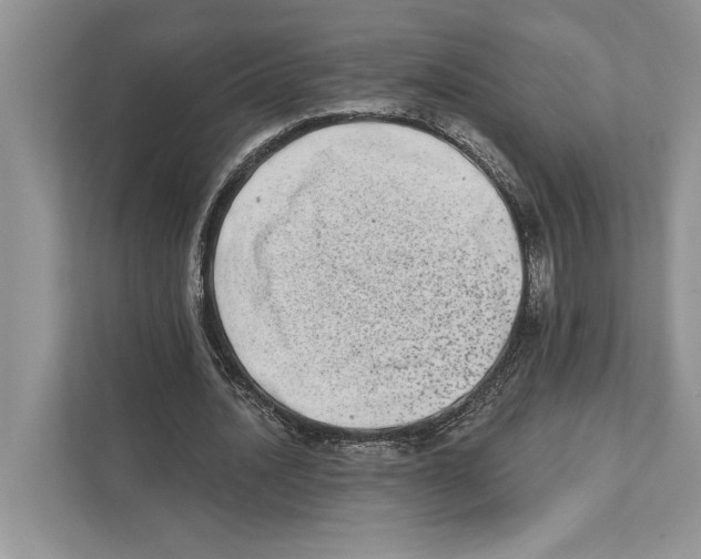 X0000110860628200907091341