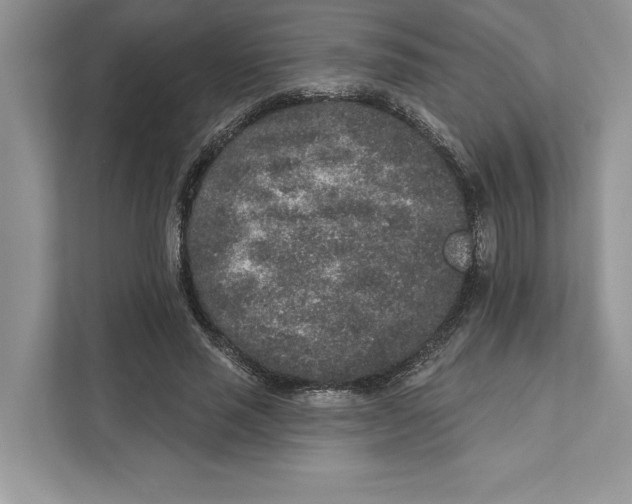 X0000110860637200907091341