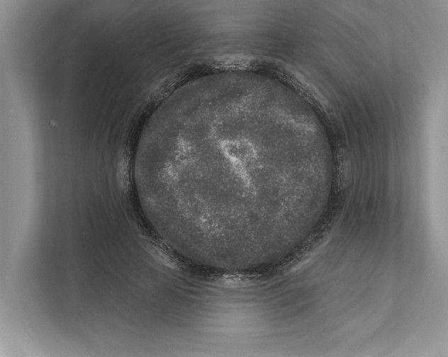 X0000110860641200907091341