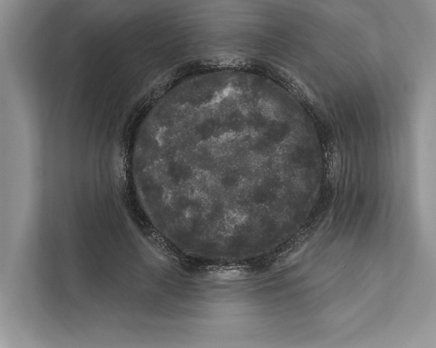 X0000110860643200907091341