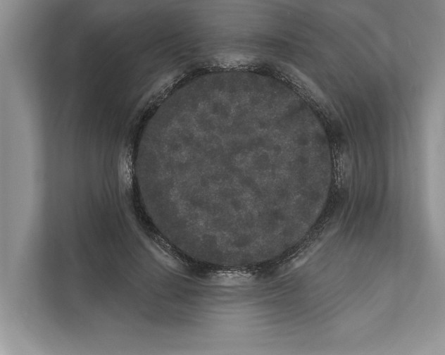 X0000110860644200907091341