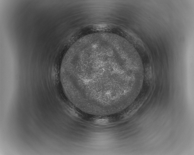 X0000110860653200907091341