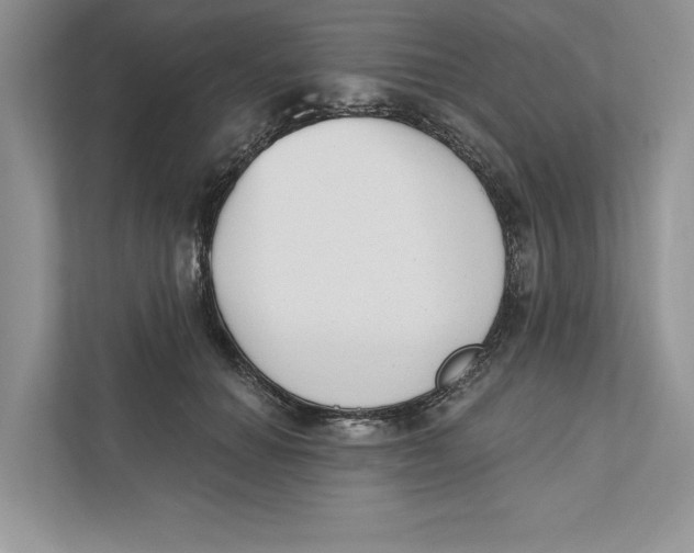 X0000110860654200907091341