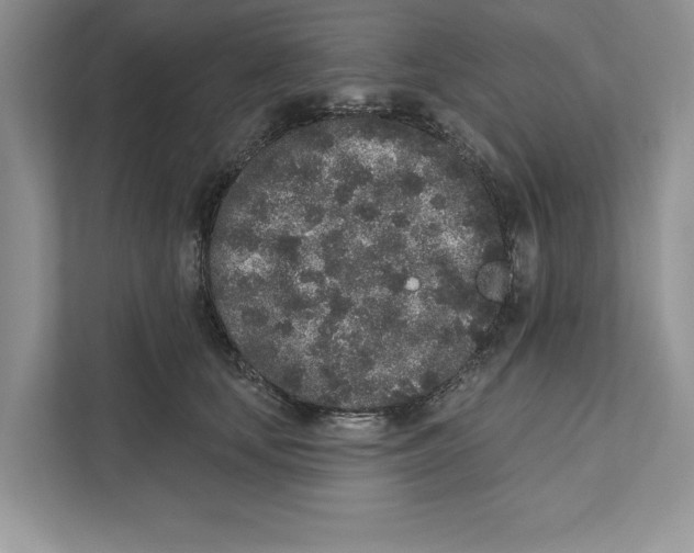 X0000110860659200907091341