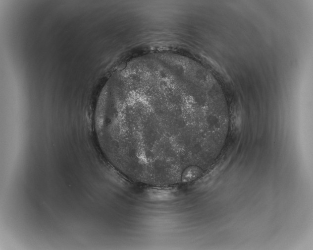 X0000110860661200907091341