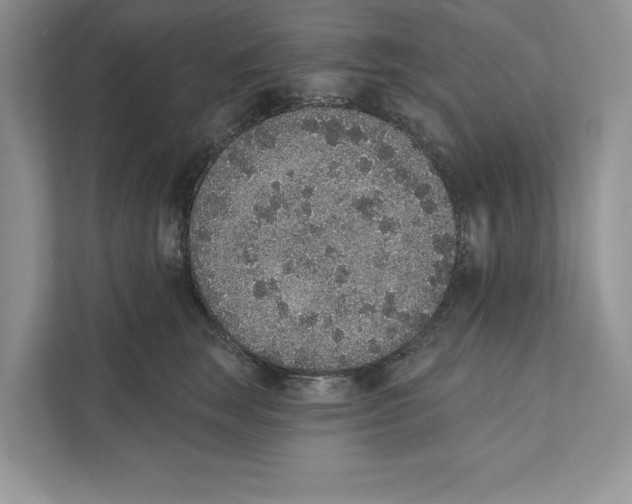 X0000110860663200907091341