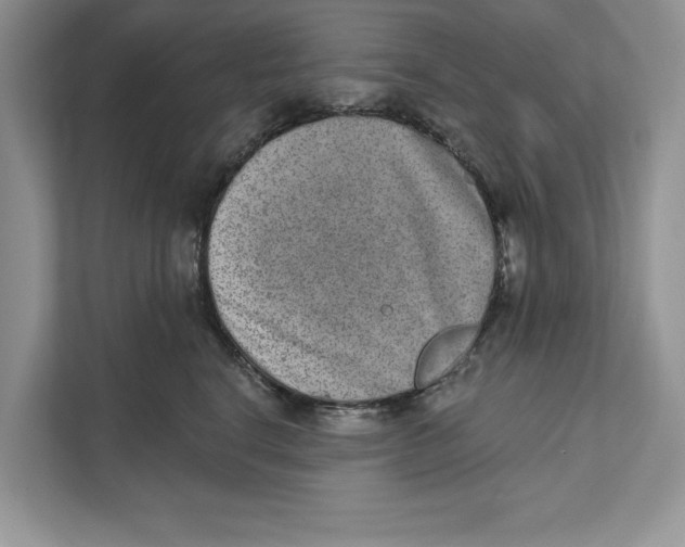 X0000110860664200907091341