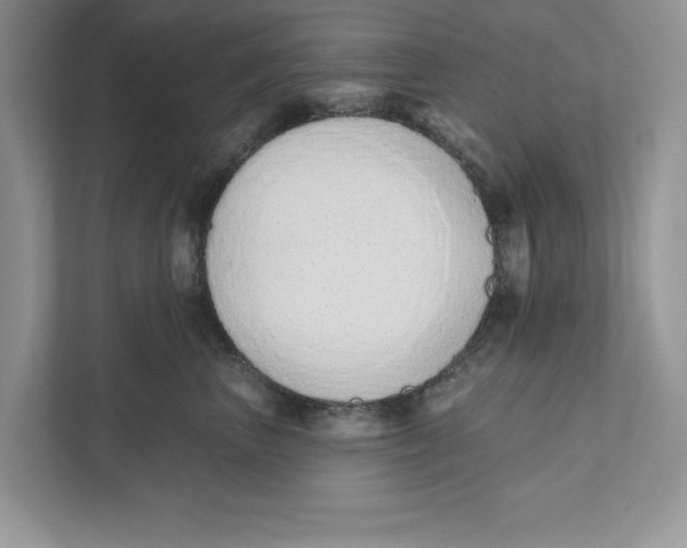 X0000110860667200907091341