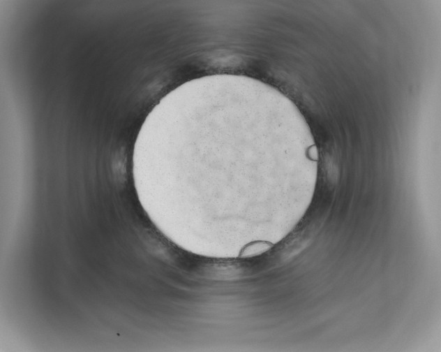 X0000110860668200907091341