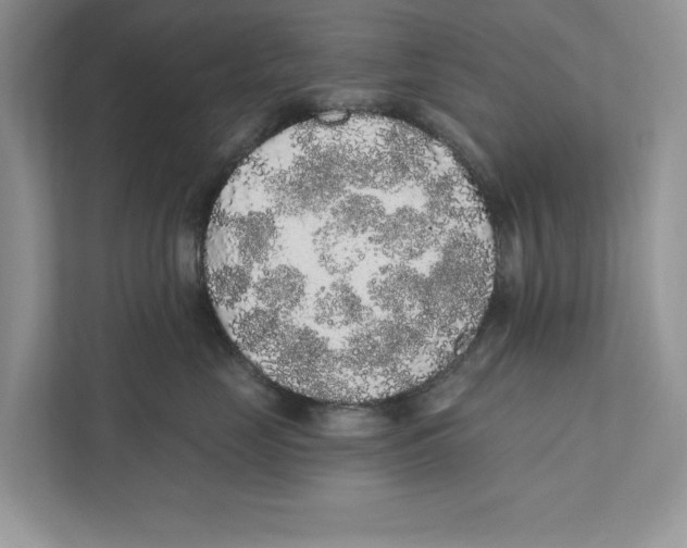 X0000110860669200907091341