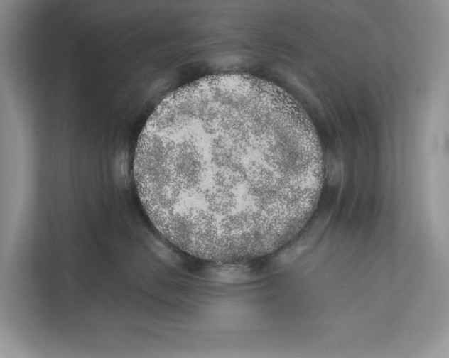 X0000110860670200907091341