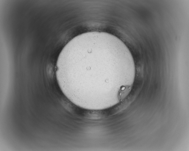 X0000110860671200907091341