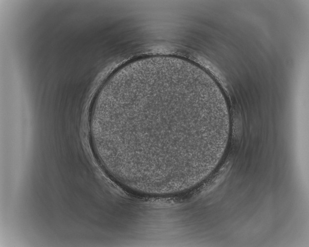 X0000110860673200907091341