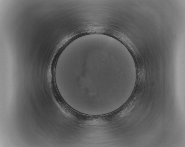 X0000110860674200907091341