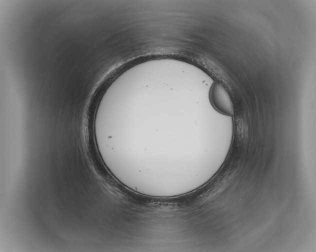 X0000110860676200907091341