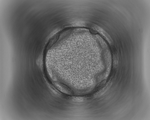 X0000110860677200907091341