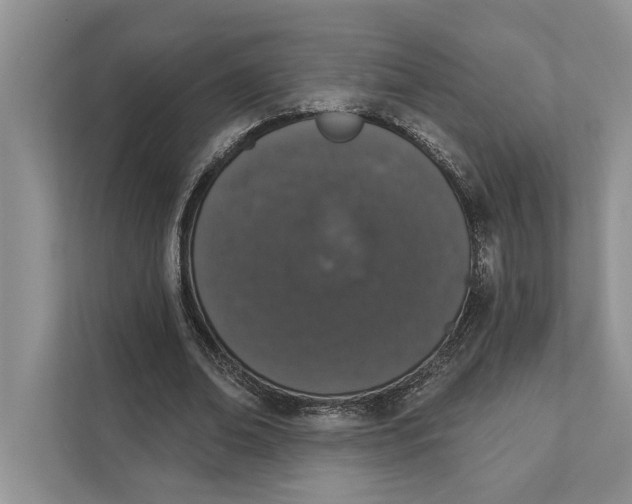 X0000110860678200907091341