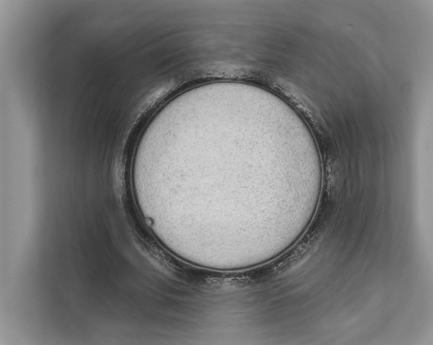 X0000110860679200907091341