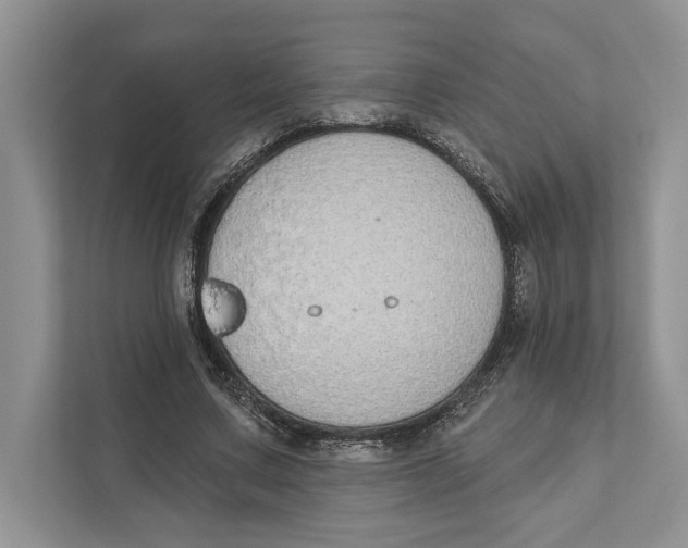 X0000110860683200907091341