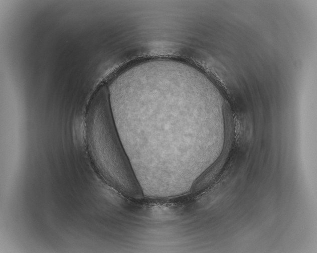 X0000110860684200907091341