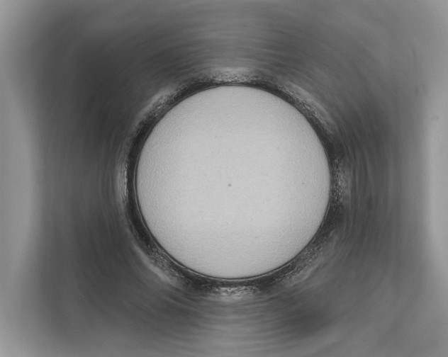 X0000110860686200907091341