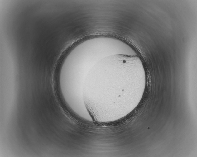 X0000110860688200907091341