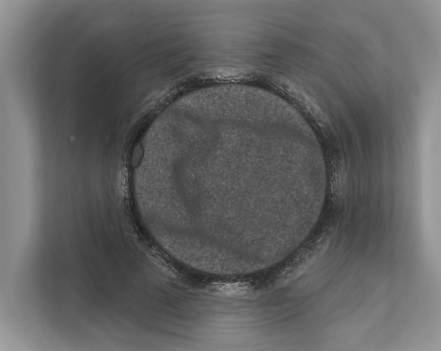 X0000110860689200907091341