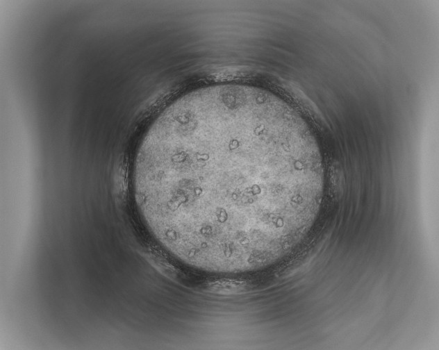 X0000110860691200907091340