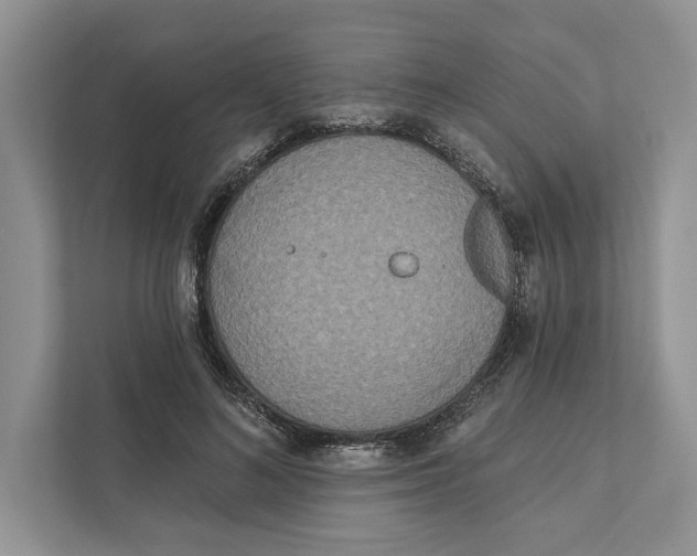 X0000110860692200907091340