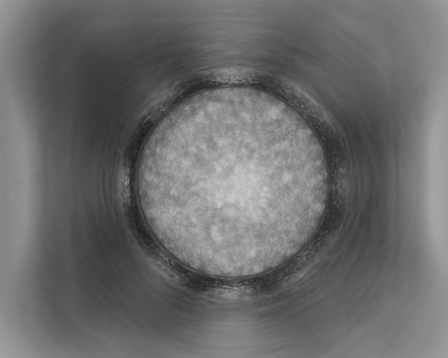 X0000110860696200907091340