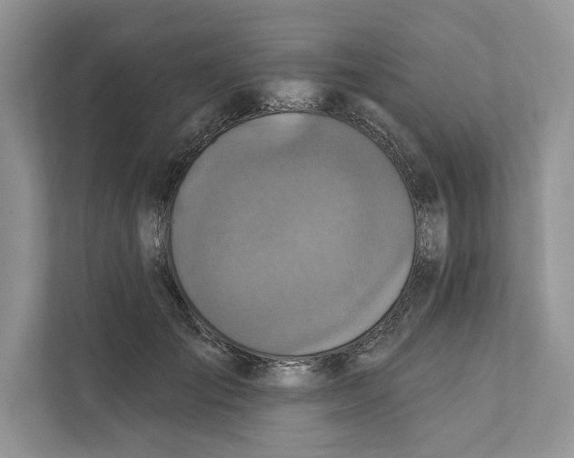 X0000110860701200907091340