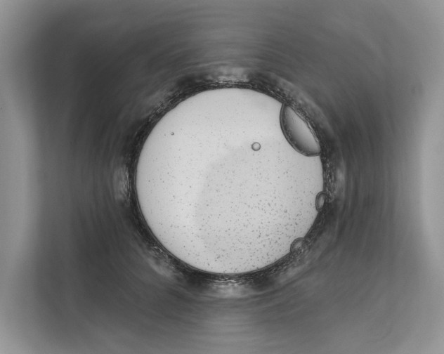 X0000110860704200907091340