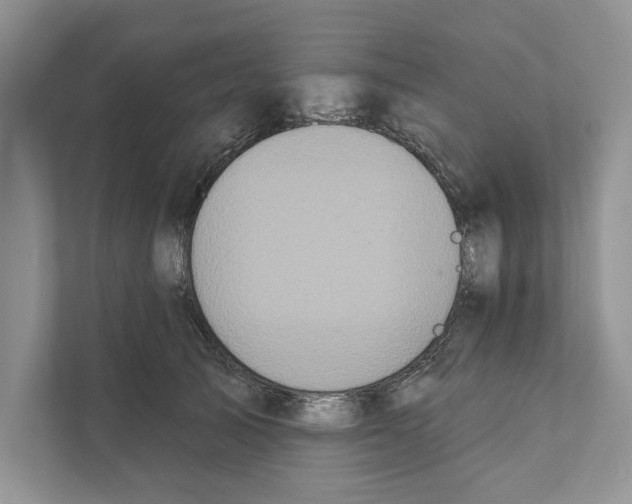 X0000110860705200907091340