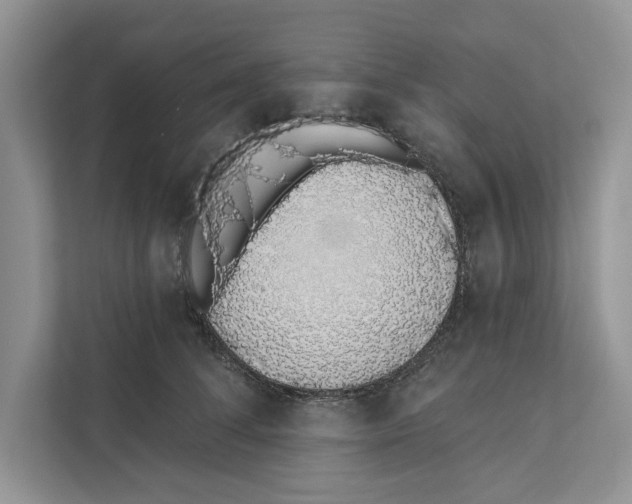 X0000110860708200907091340