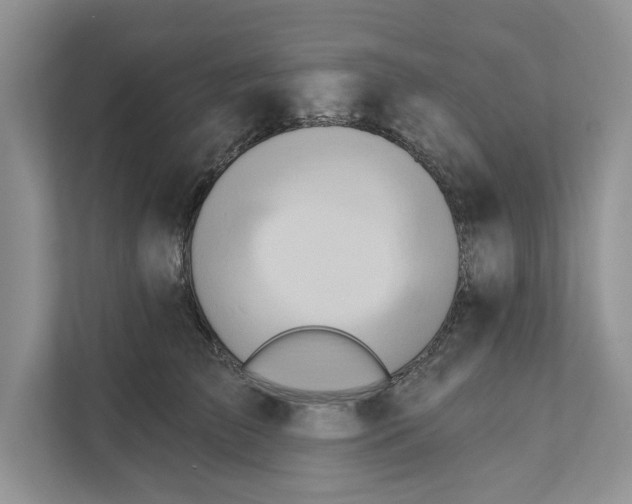 X0000110860709200907091340