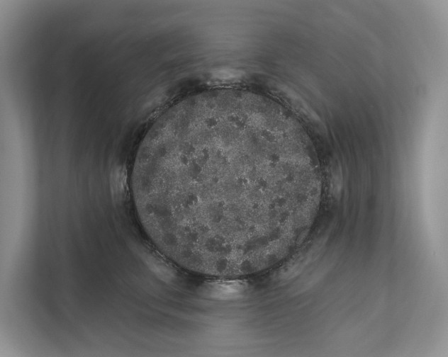 X0000110860711200907091340