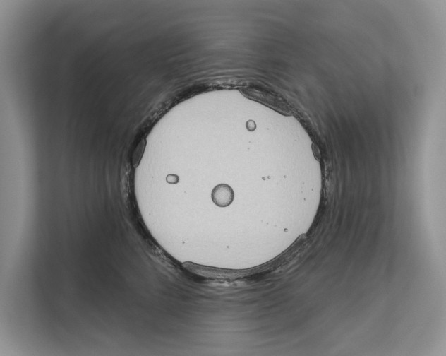 X0000110860712200907091340